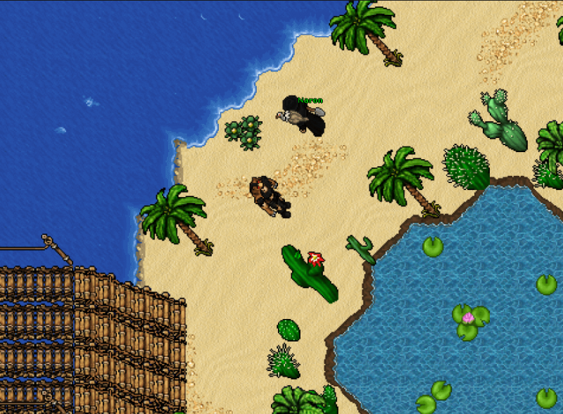 File:Npcquest.png
