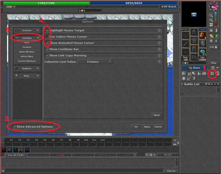 File:Options Interface.png